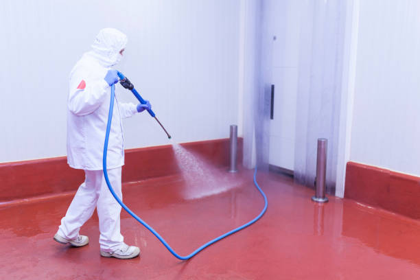 Best Graffiti Removal  in Dunlap, TN