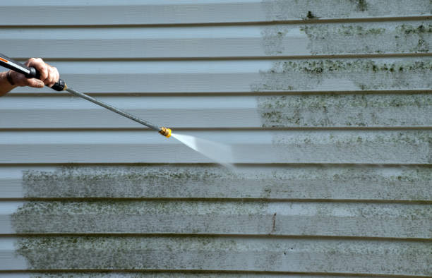 Best Solar Panel Cleaning  in Dunlap, TN